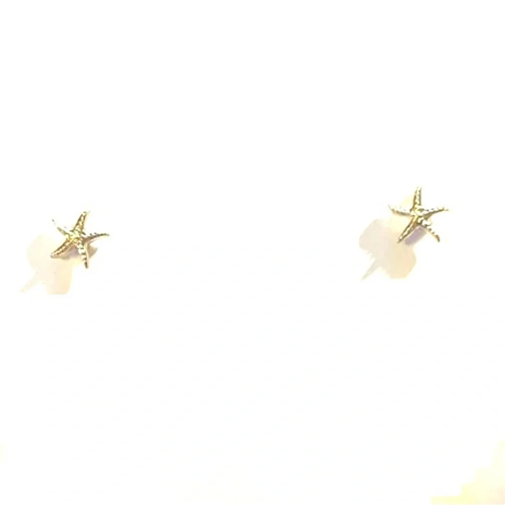 Baby Starfish Teeny Tiny Sea Star Bumpy Knobby Tube Feet Pedicellaria Ocean Stud